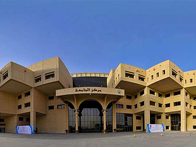 King Saud University Infrastructure and Supporting Projects